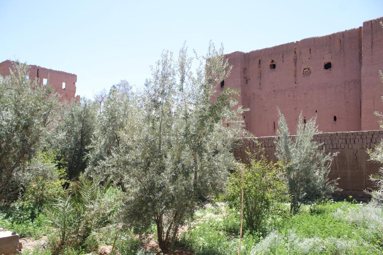 Gite Ait Lmaalam Chez Ahmed 스쿠라 외부 사진